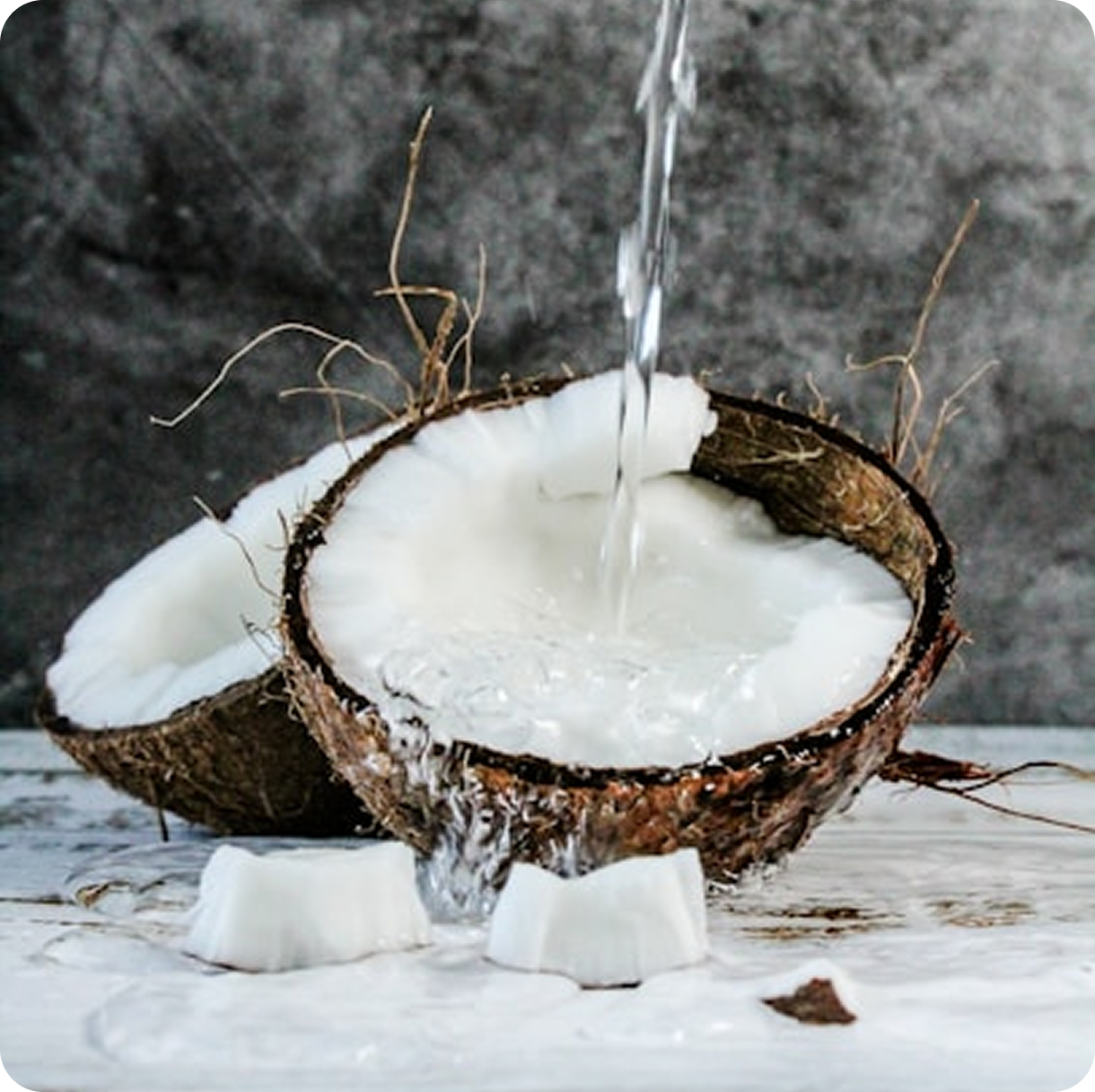 Solid Shampoo Bars | The Lavish Goat’s Plastic-Free Haircare Revolution